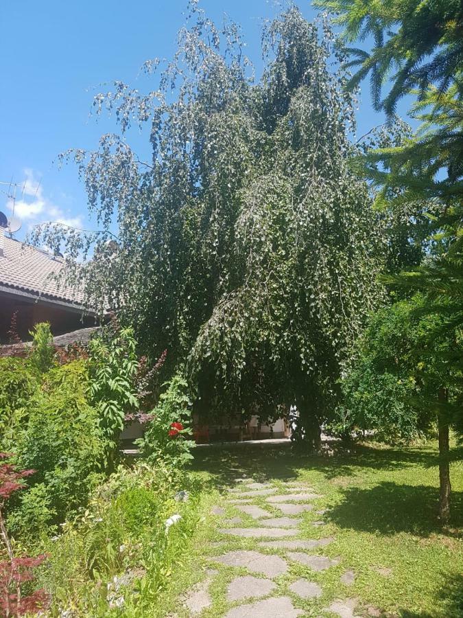 Pelegrin 15 Lejlighed San Vigilio Di Marebbe Eksteriør billede